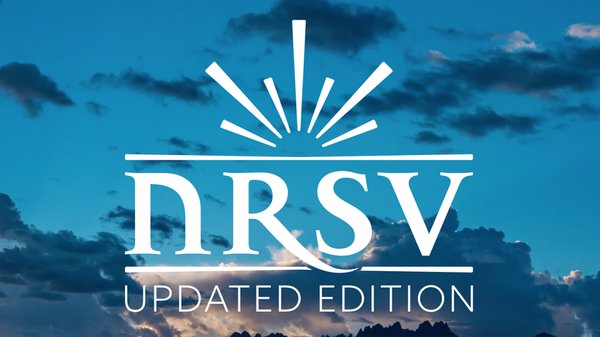 NRSVue Logo