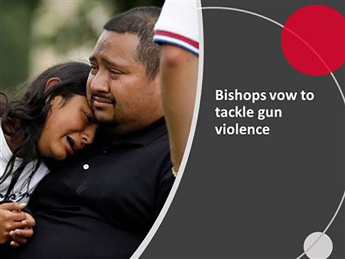 Bishops Agree On Ways To Tackle Gun Violence, Church Disaffiliations ...