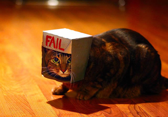 Fail-Cat