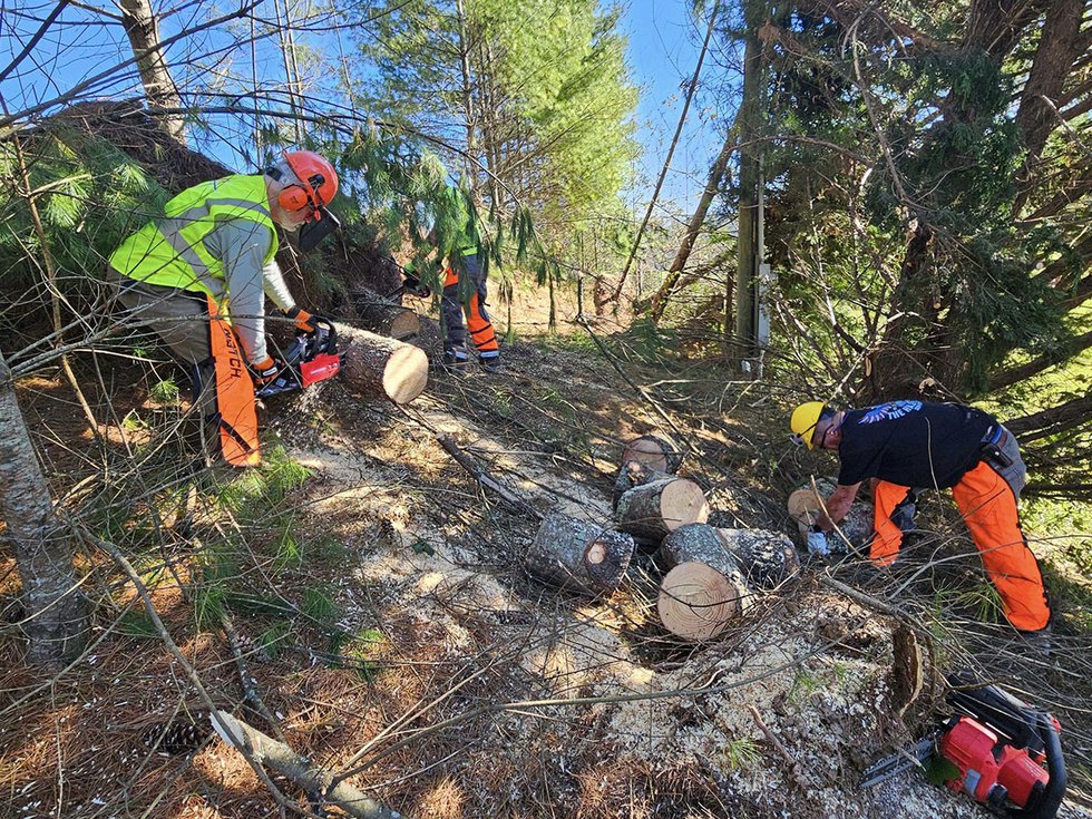 Chain Saw Brigade