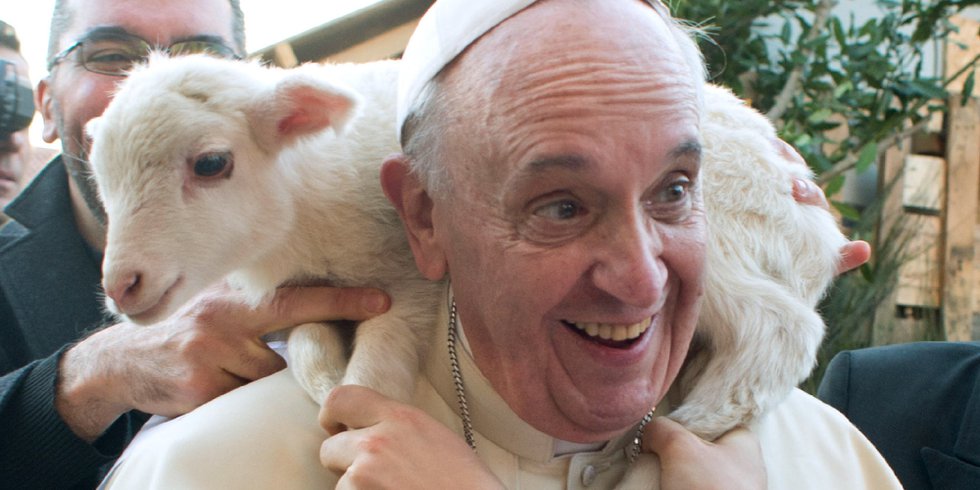 Pope Francis Lamb