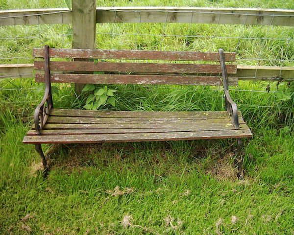 Old Bench