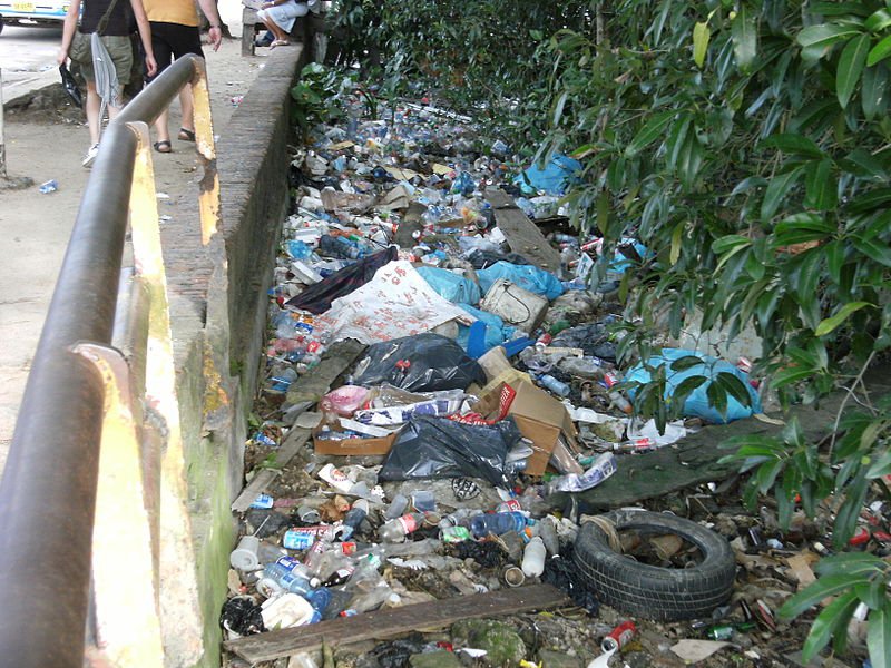 Litter in Paramaribo