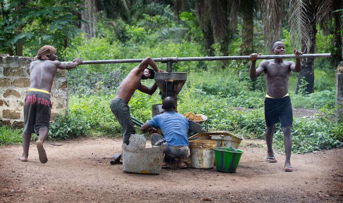 Liberia Palm Oil Workers