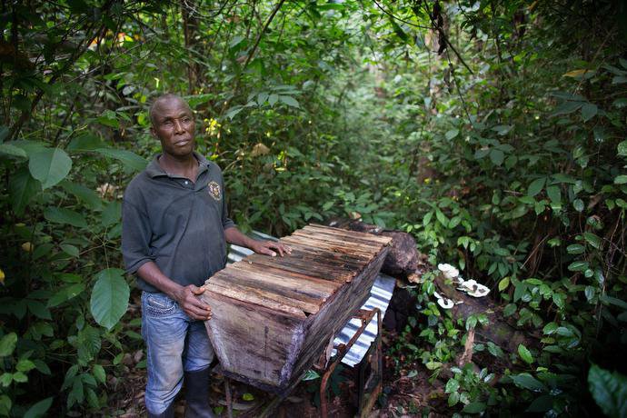Liberia Beekeeping