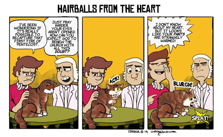 WB Hairballs