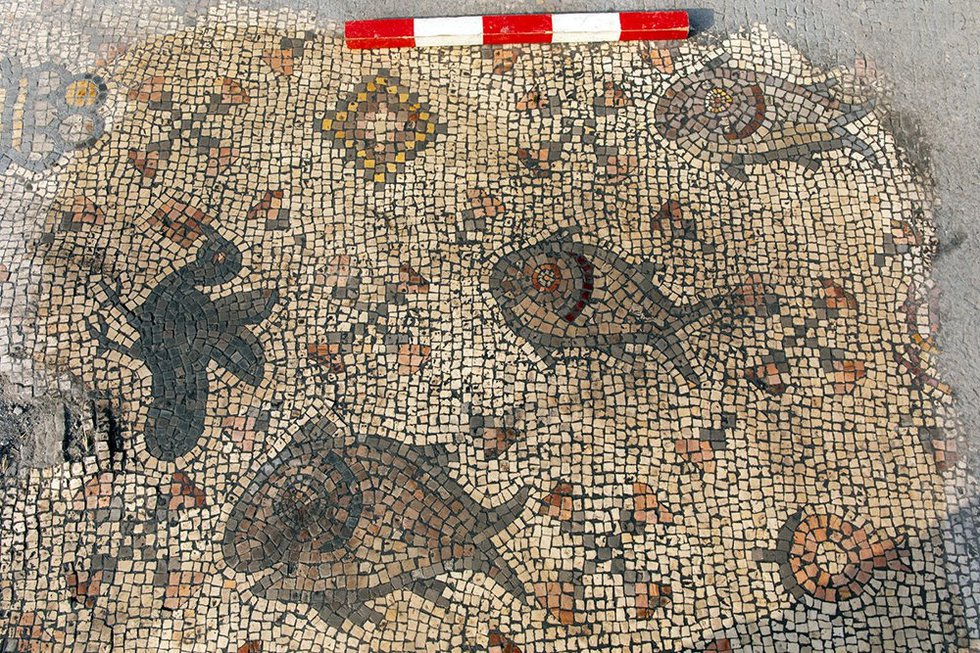 Mosaic Floor Fish