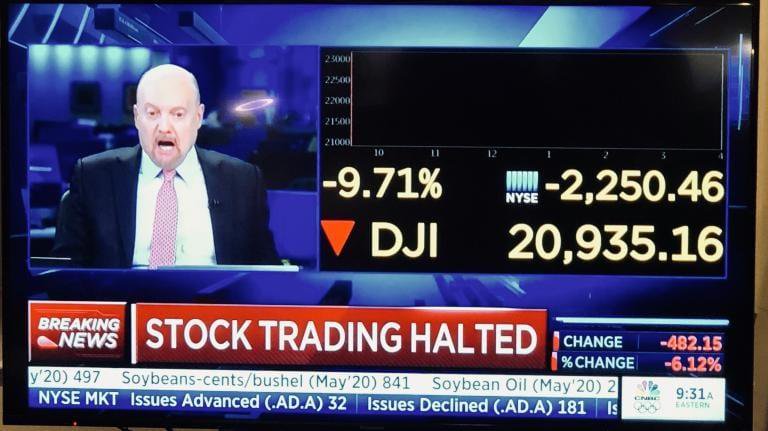 Stock trading halted