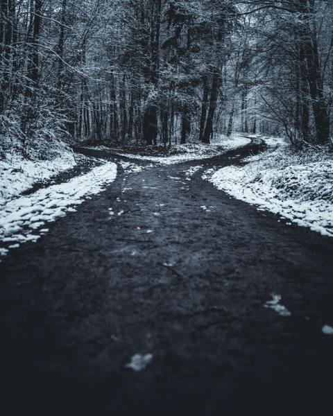 Winter Two Paths