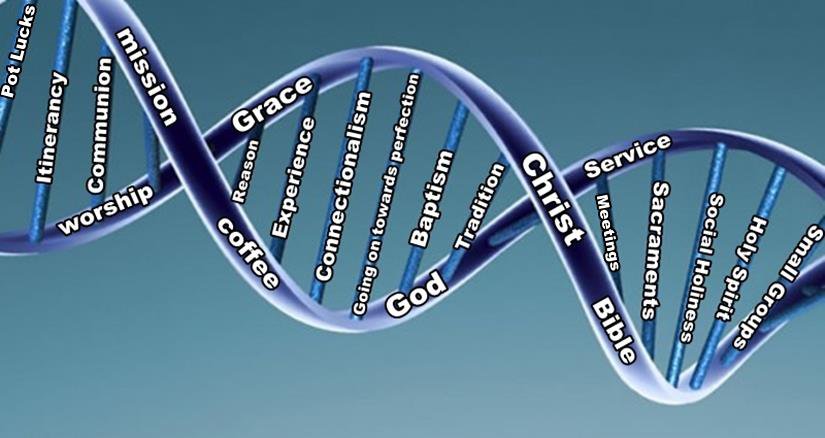 Methodist DNA